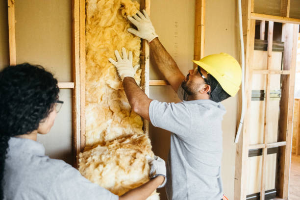 Types of Insulation We Offer in Collinsville, AL